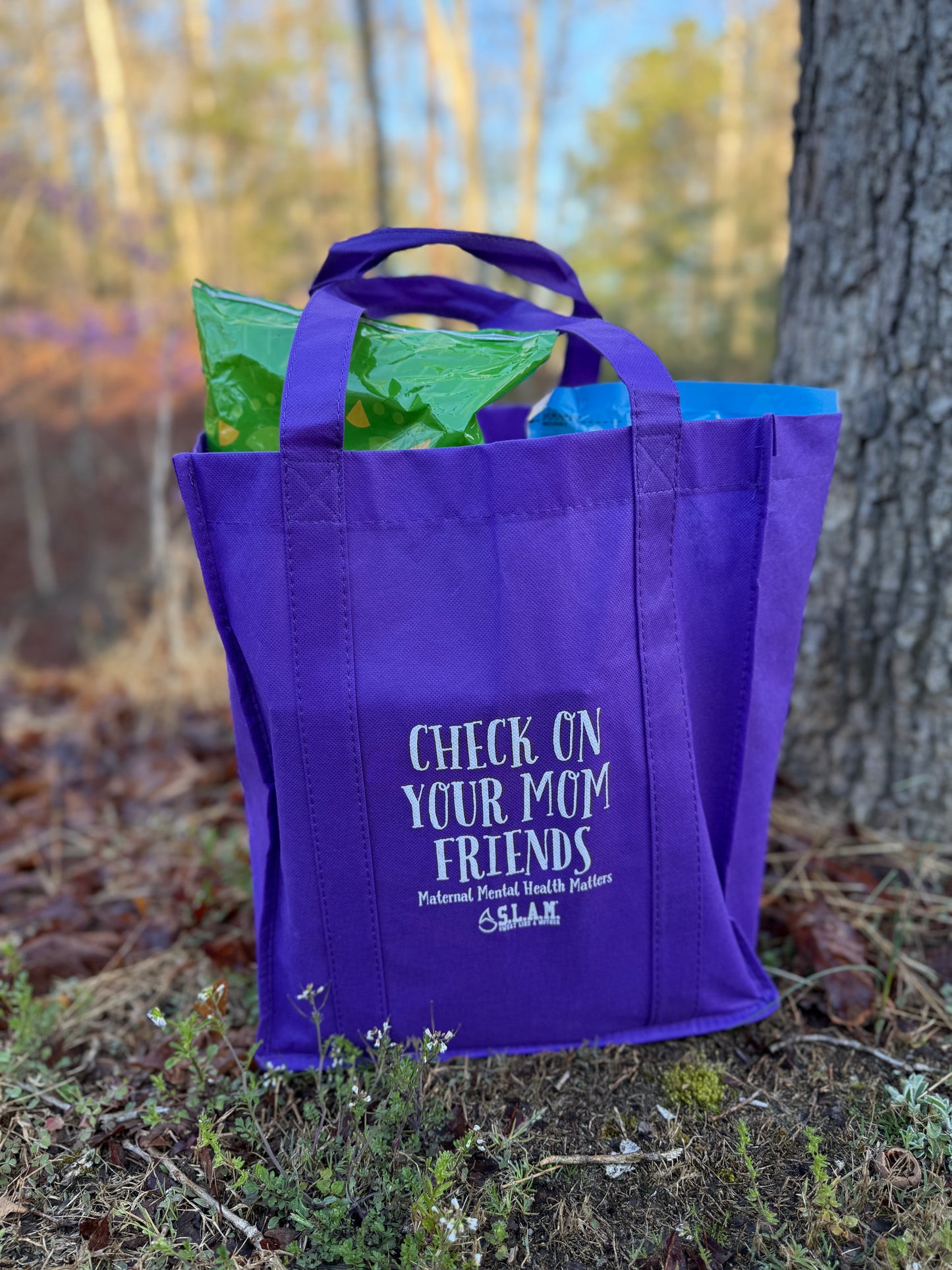 *Preorder* MMH Fundraiser Grocery Bag