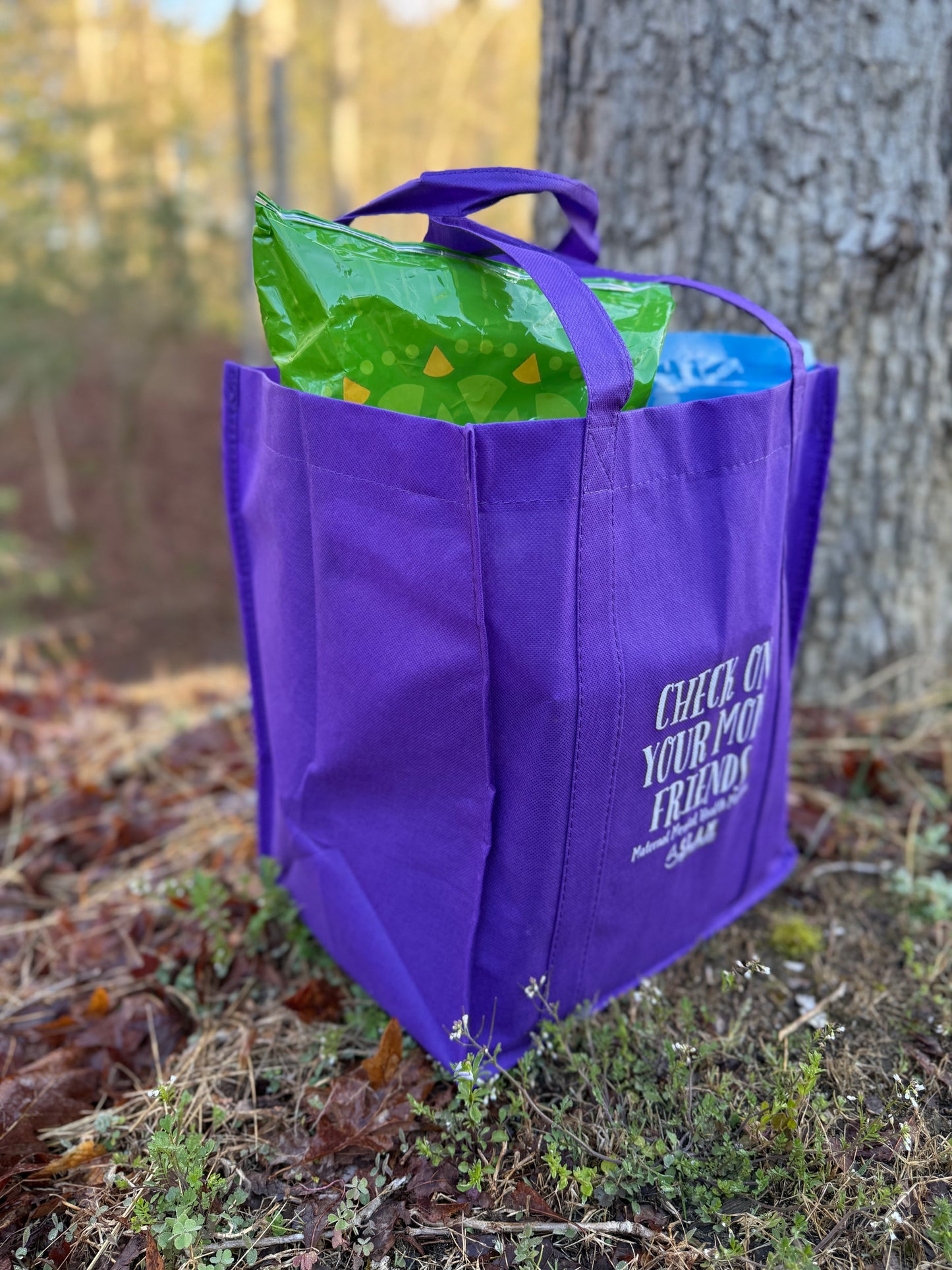 *Preorder* MMH Fundraiser Grocery Bag